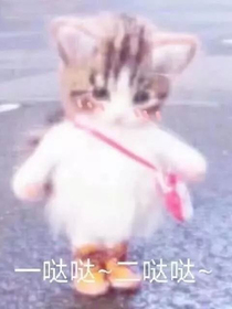 时代少年团之这辈子我爱你