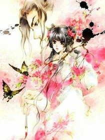 穿越久新王朝之绝版太子妃_d307