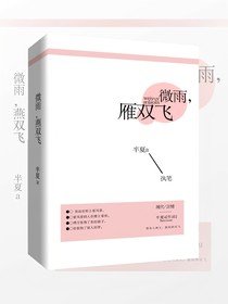 微雨，雁双飞