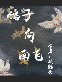 鸽子向南飞