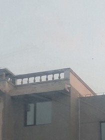 总裁的小小宠妻