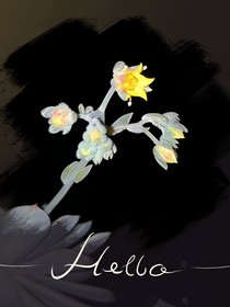 何歸冬夏播琴著