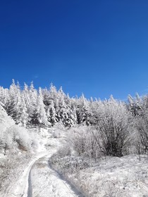 假面闺蜜霸道宠，韩姐，架子守住