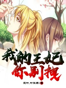 我的王妃你別拽