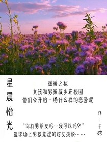 星晨怡光