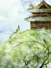 繁花易锦