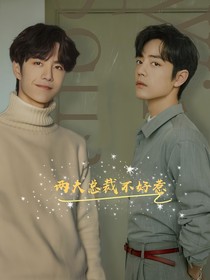 两大总裁不好惹
