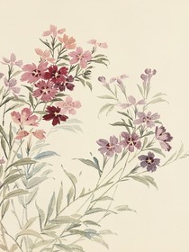 鳳難歸