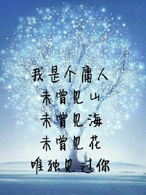 查理九世之漸漸消失的感情