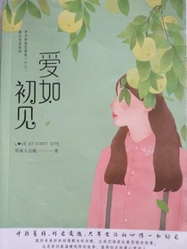 爱如初见1