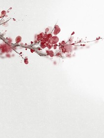 快穿，夢里人