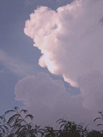 小乖的日常