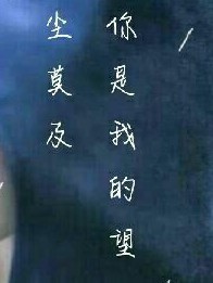 沙海。你是我的望塵莫及