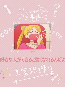 文本积攒