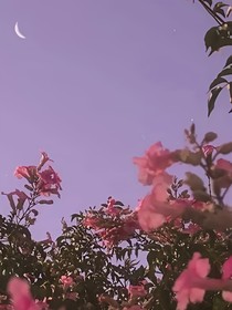 如果早点说爱你