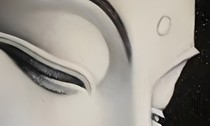 佛陀瞳之全能計(jì)劃