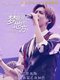 梦最开始的地方（FirstLoveAgain）