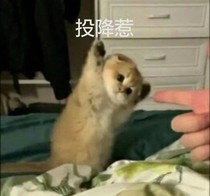 零錢同居那些事