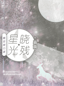 嘉南：曉殘星光
