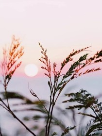 与你有关的那些年