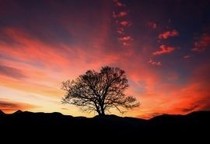 回首、已是夕阳