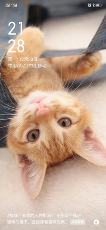狼妹成亲