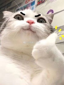 村花向前沖