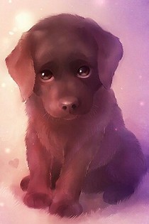 我是笑話