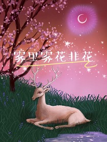 雾里花非花