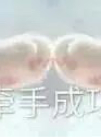 记录嫂子的恋爱故事