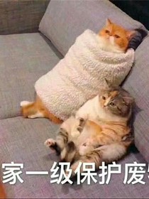 流程