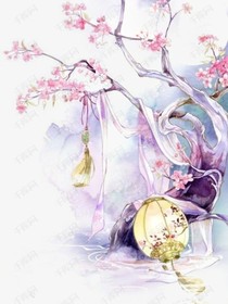 霜雪芙蓉