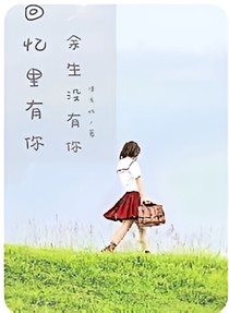 回忆里有你，余生没有你——d538
