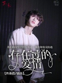 存在过的爱情