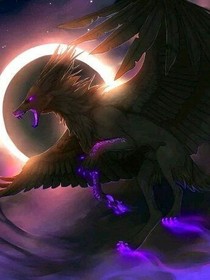 夜兽传
