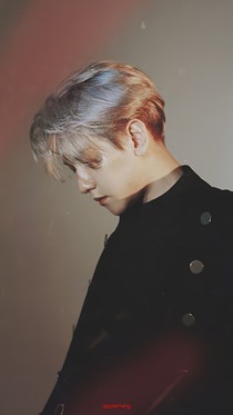 韩娱:双贤夫妇也很甜！