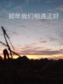 那年我们相遇的正好