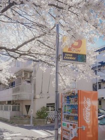 EXO：歡喜多年-d555