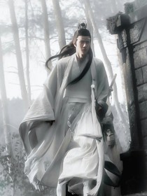 陈情令:梅花落南山