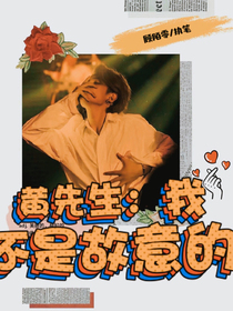 黄先生：我不是故意的