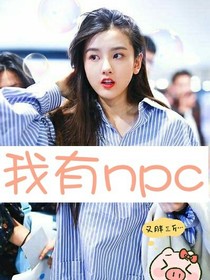 我有npc——d934