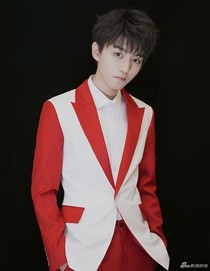 明星同人之王俊凯宠妻无限