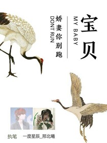 寶貝嬌妻別想逃