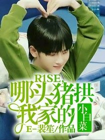 R1SE，哪头猪来拱我家的小白菜