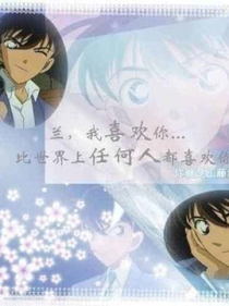 新兰：我比世界上任何人都喜欢你