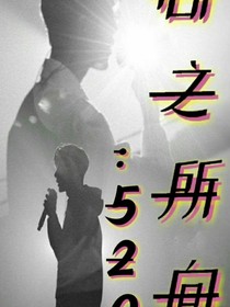 心之所向:520