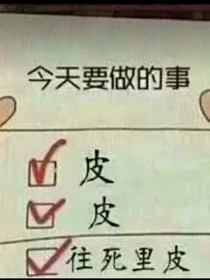 系统外挂什么的我才不要