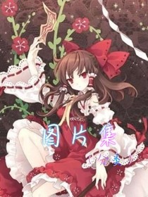 图片集（分类）