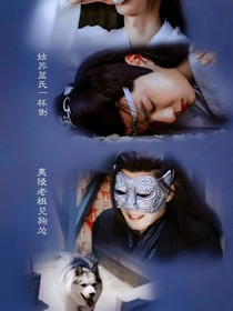 陳情令：續(xù)緣——d630