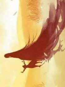 盛世花开